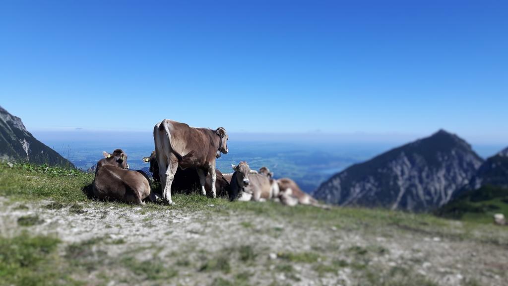 Hotel Pfeiffermuehle Wertach Luaran gambar
